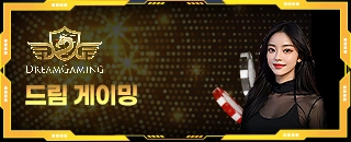 드림게이밍 카지노