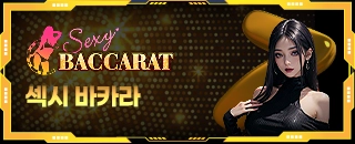 섹시바카라 카지노