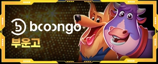 BNG 슬롯